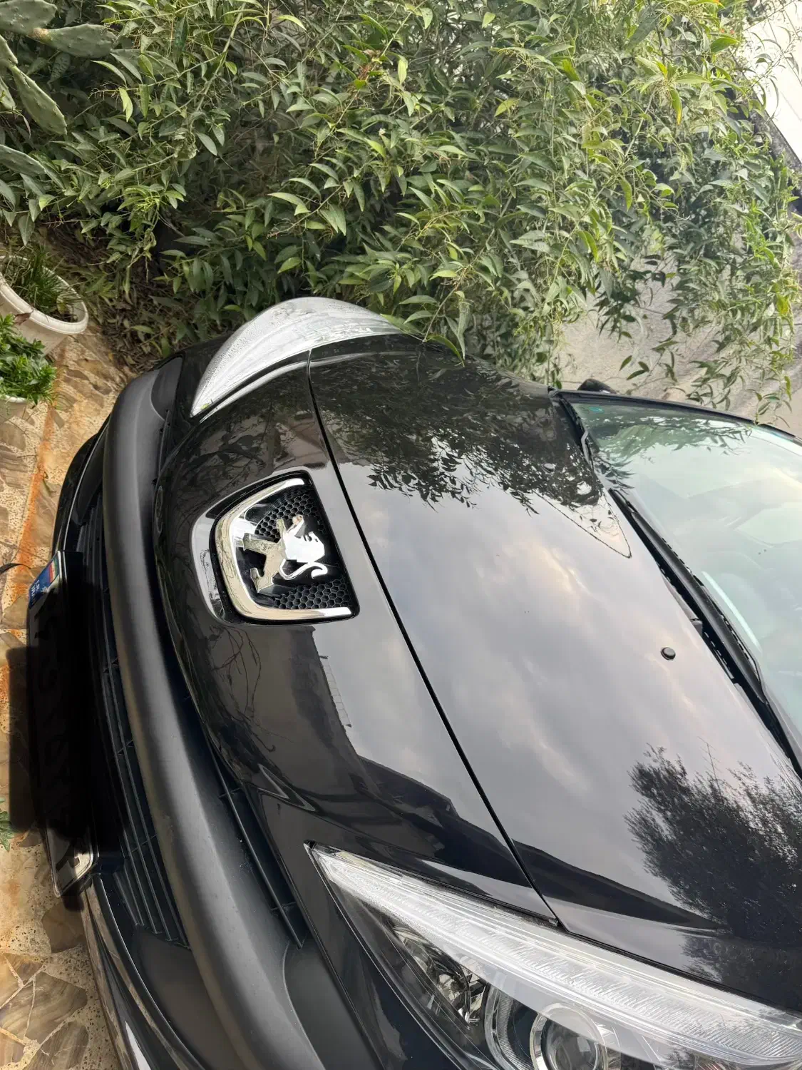 فروش ۲۰۷|خودرو سواری و وانت|ساری, |دیوار