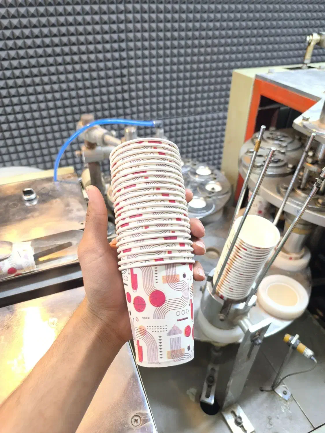 تولیدی لیوان کاغذی|ظروف نگهدارنده، پلاستیکی، یکبارمصرف|یزد, |دیوار