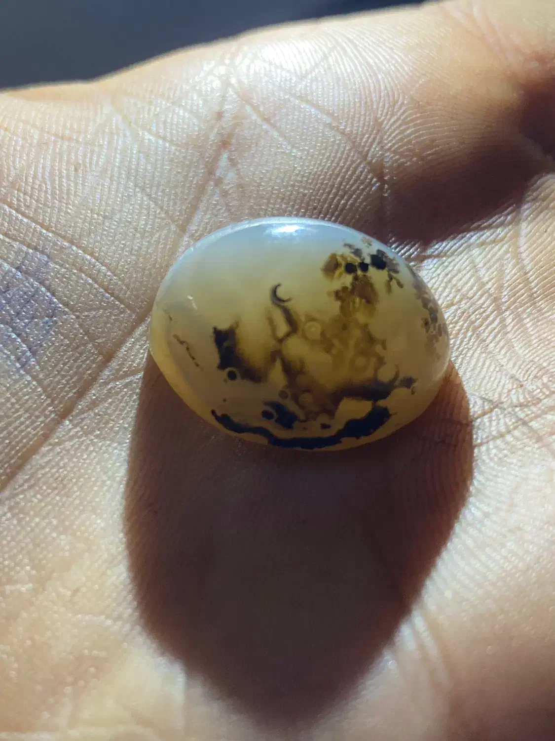 شجر نگین|جواهرات|زرند, |دیوار