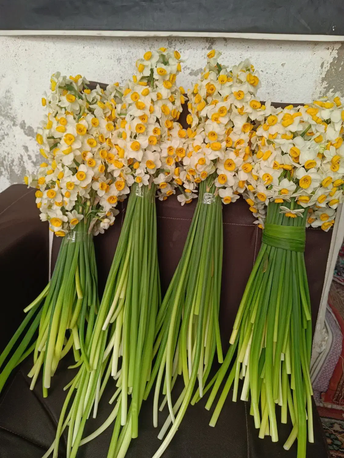 نرگس دسته|گل و گیاه طبیعی|قم, قم نو|دیوار