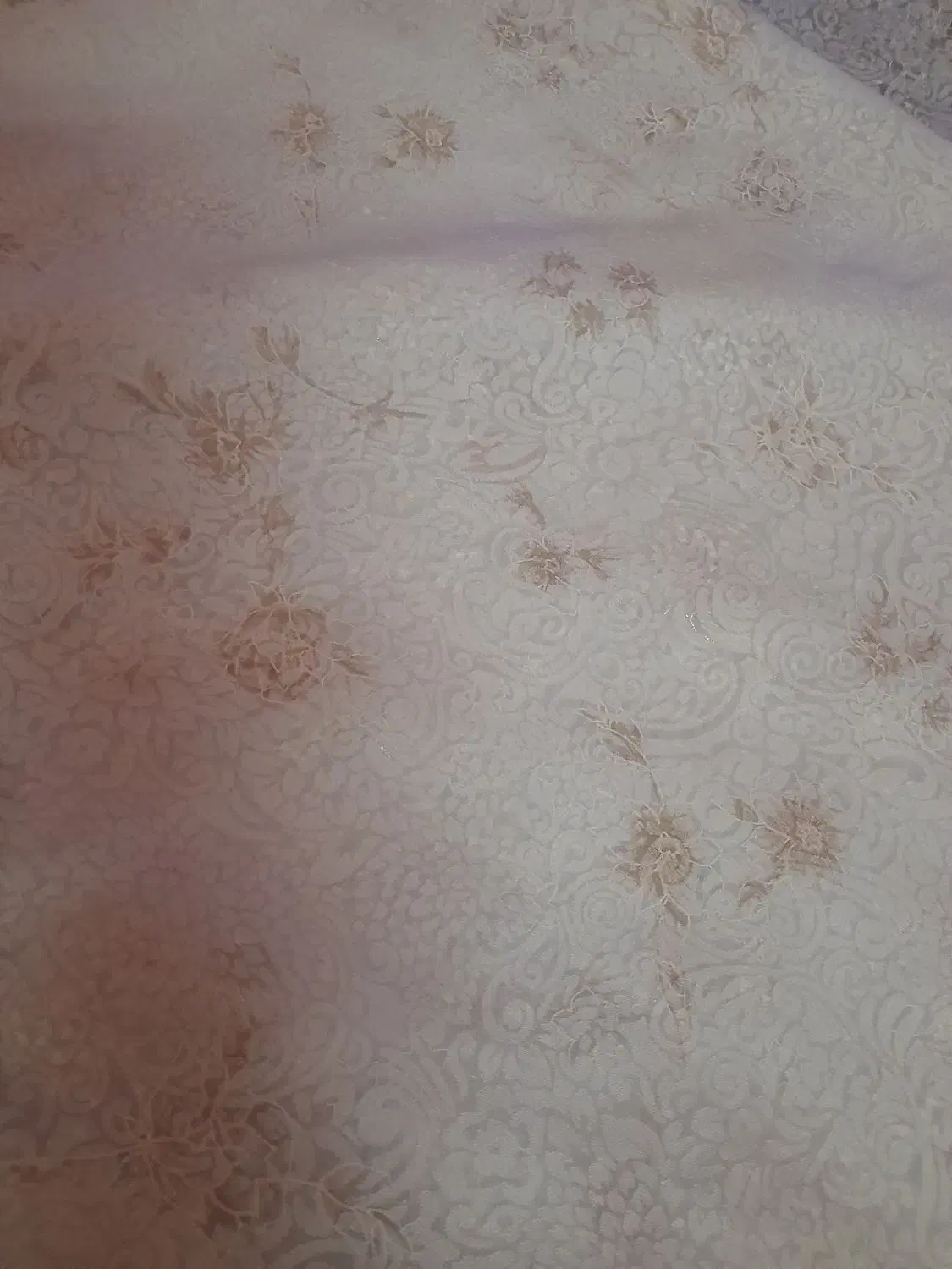 چادر عروس|لباس|جوین, |دیوار