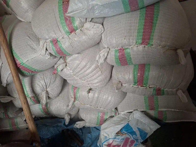 شلتوک بذری|گل و گیاه طبیعی|حمیدیه, |دیوار