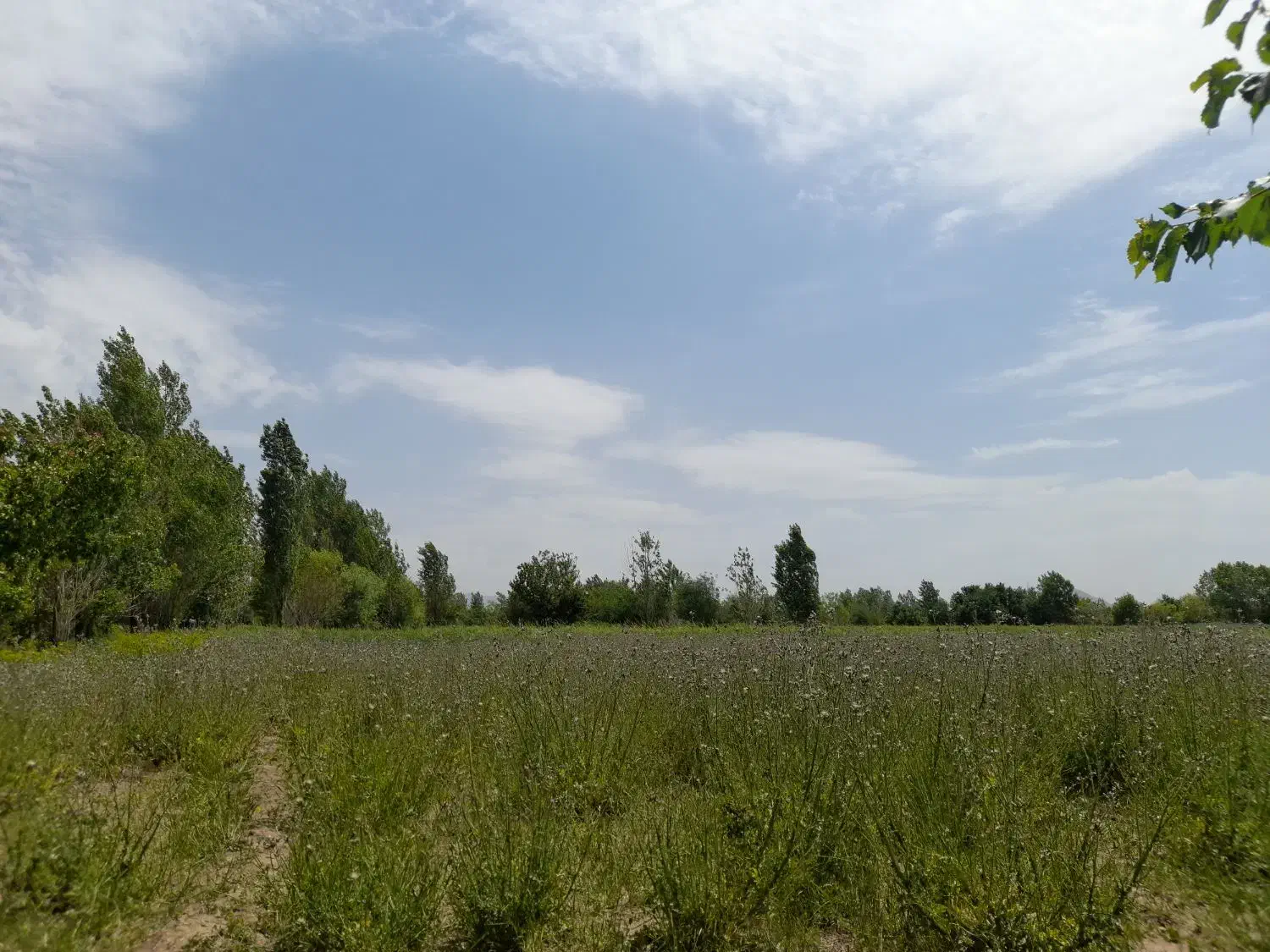 زمین|مشارکت در ساخت املاک|درگزین, |دیوار