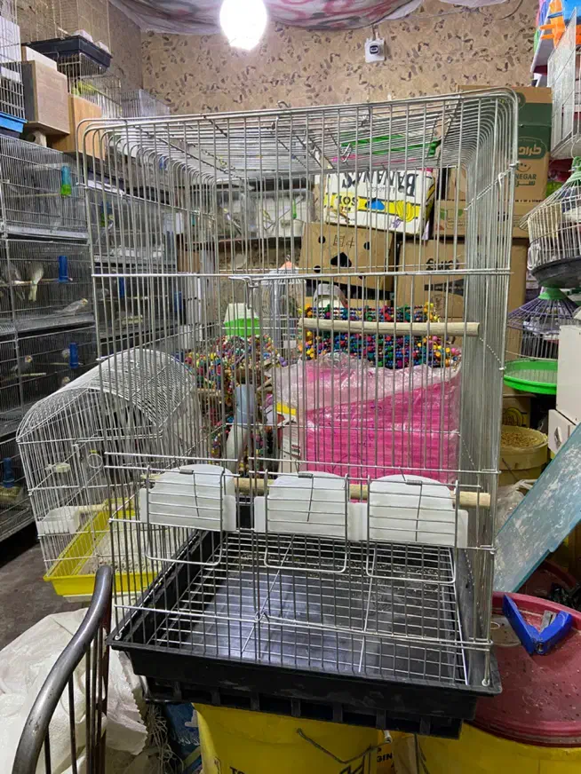 انواع قفس و ملزومات پرندگان|لوازم جانبی حیوانات|میاندوآب, |دیوار