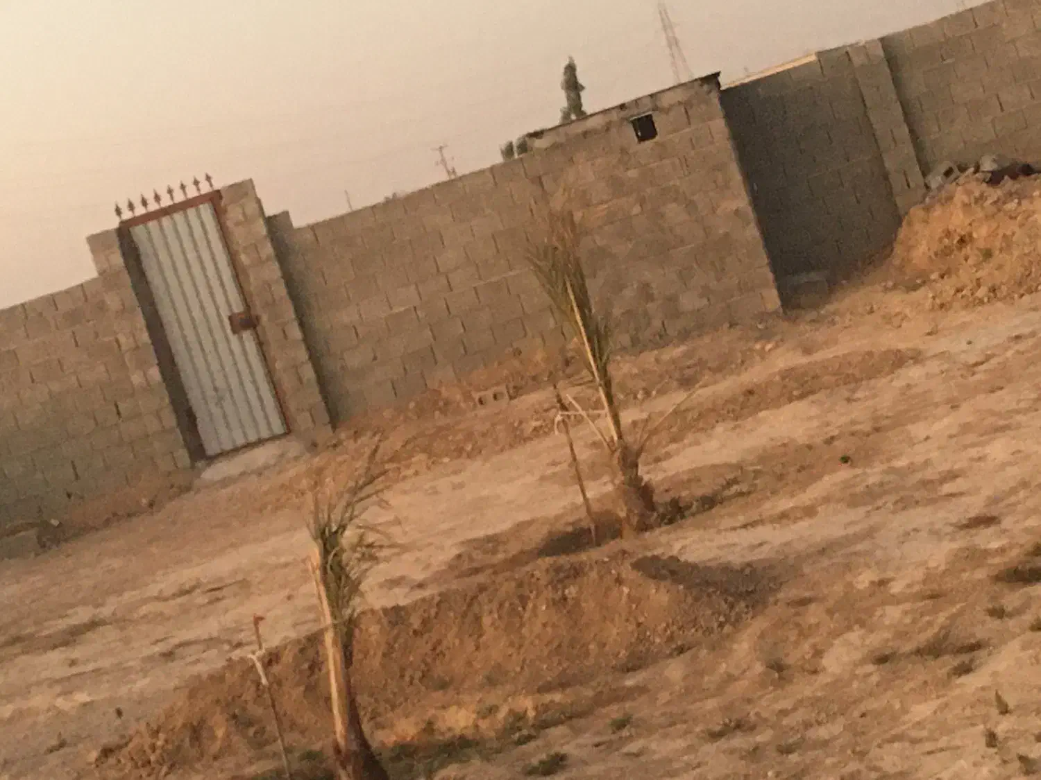 باغ چاهبردی|فروش دفتر صنعتی، کشاورزی، تجاری|بندر گناوه, |دیوار