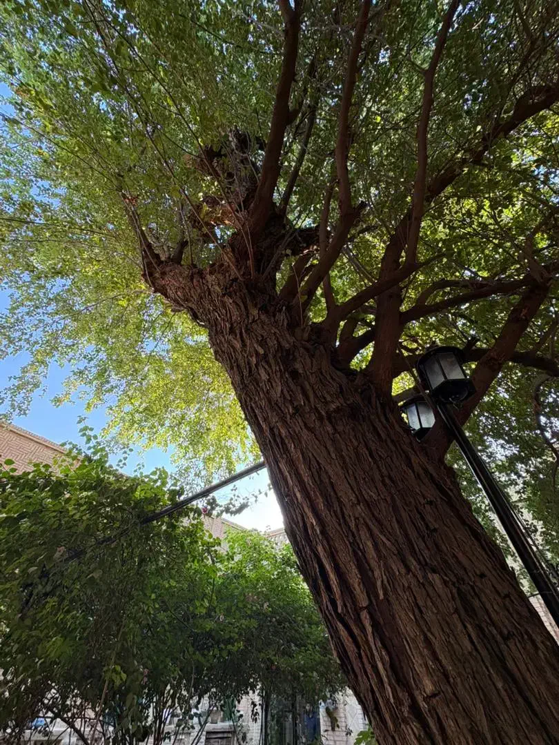 نیازمند نیرو خانه داری و نگهبانی هتل|استخدام سرایداری و نظافت|شوشتر, |دیوار