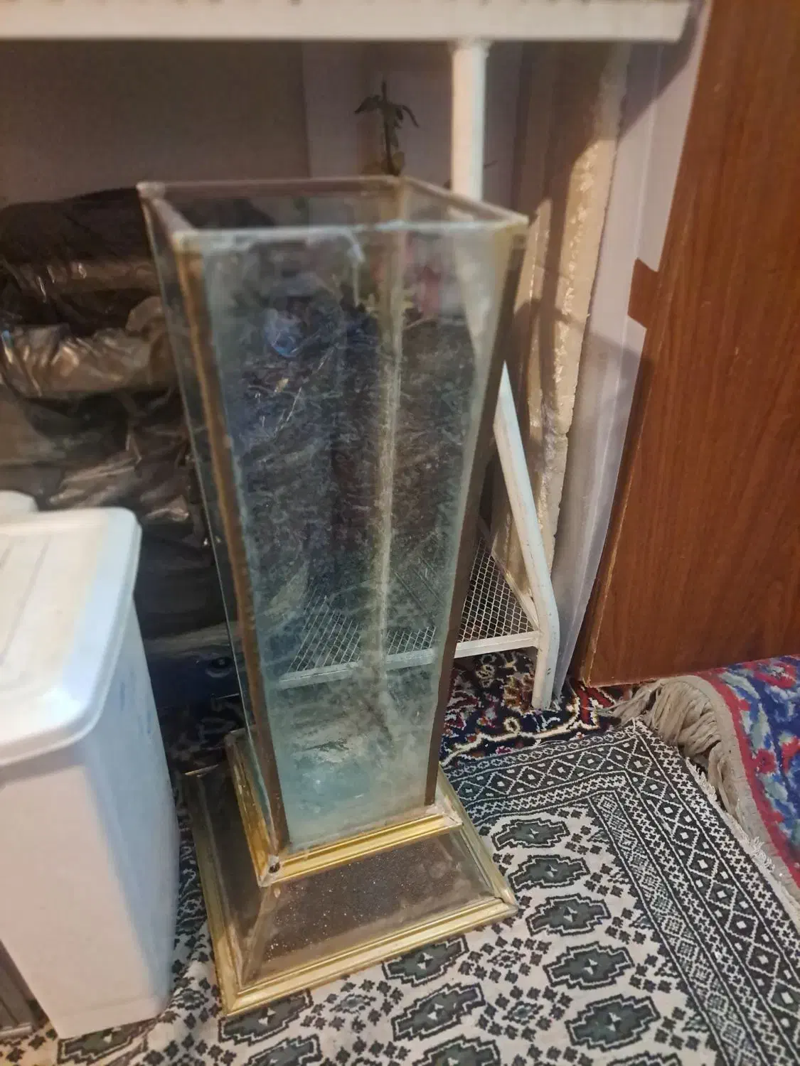 اکواریوم باپایه وکلبه|ماهی|اصفهان, مسجد مصلی|دیوار