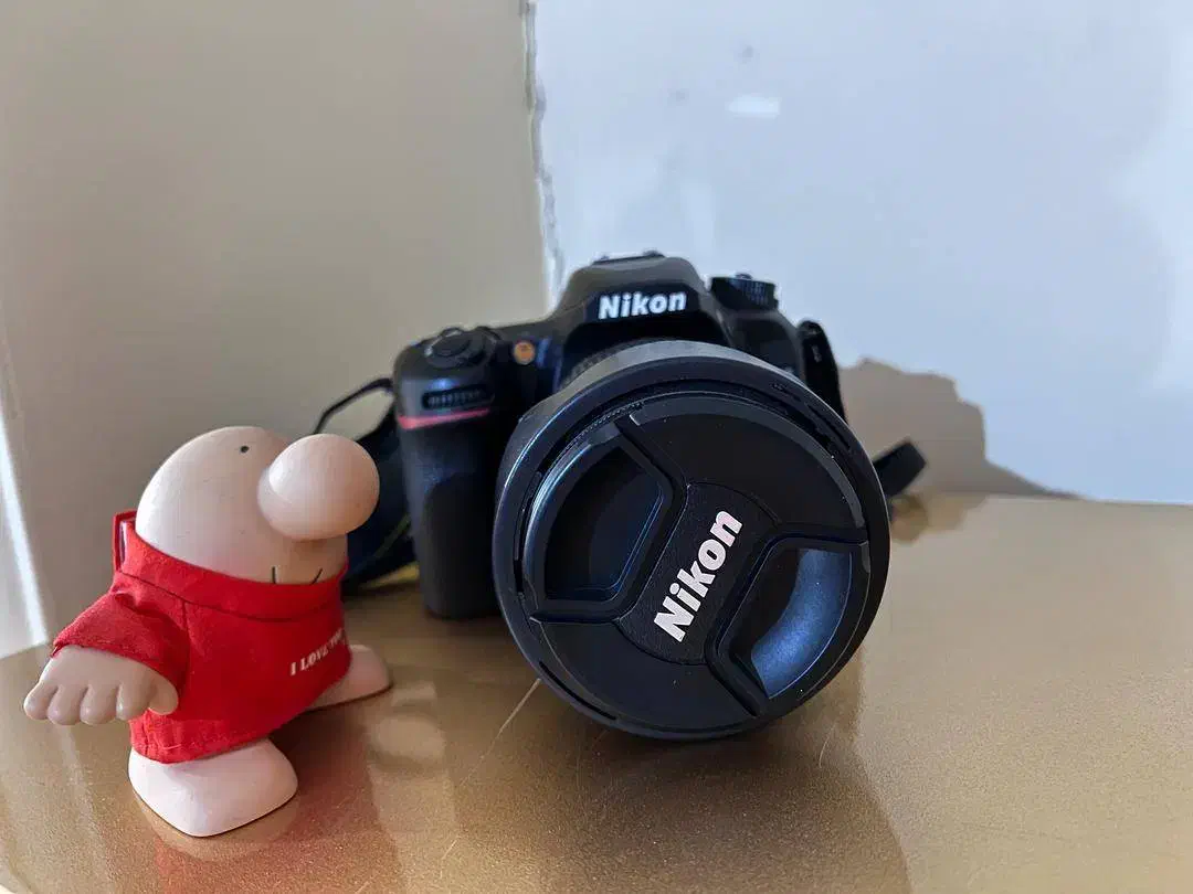 دوربین DSLR نیکون مدل D7500|دوربین عکاسی و فیلم‌برداری|تهران, شیخ هادی|دیوار