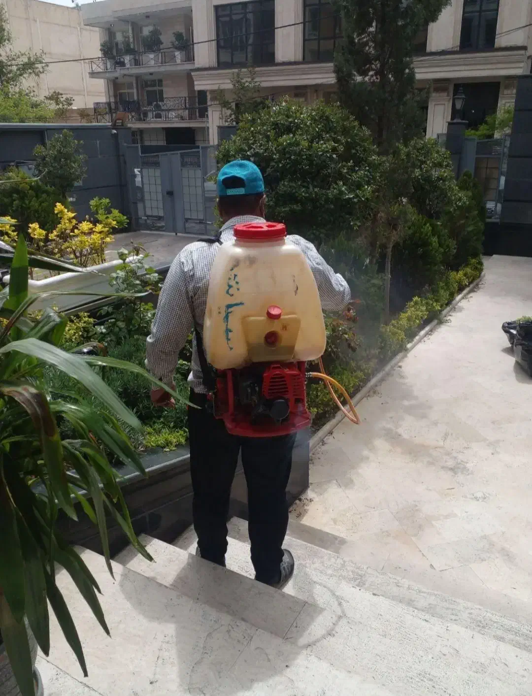 باغبانی|خدمات باغبانی و درختکاری|همدان, |دیوار