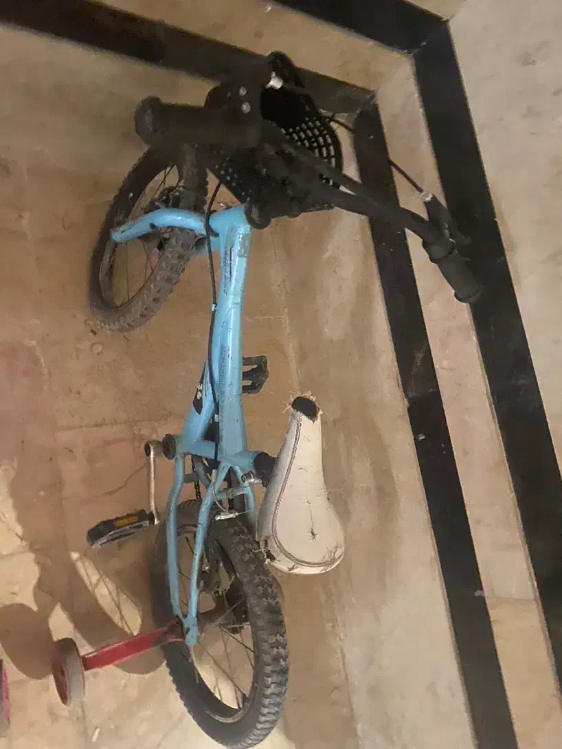 دوچرخه 16|دوچرخه، اسکیت، اسکوتر|صفادشت, |دیوار