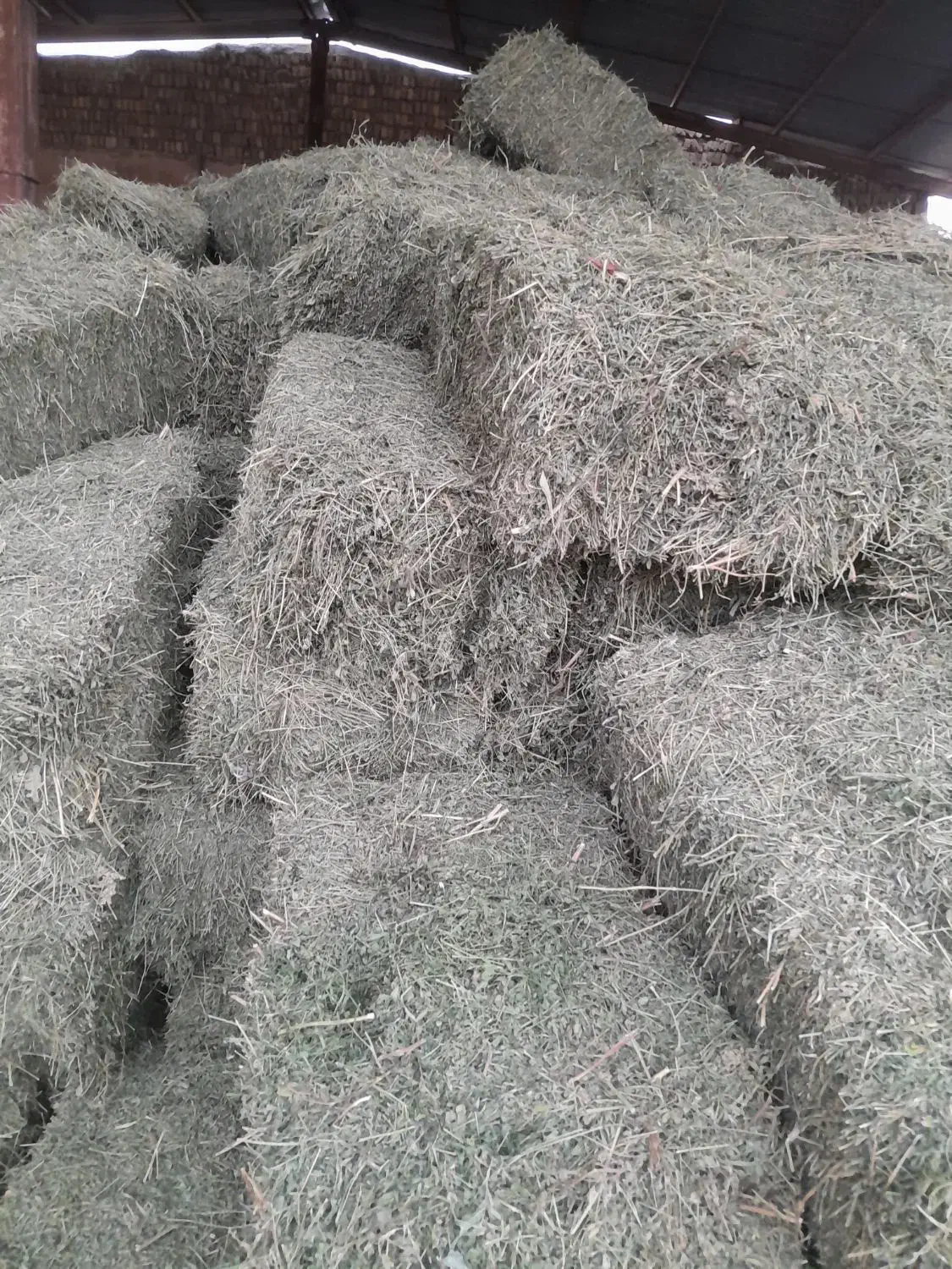 یونجه گل اول|لوازم جانبی حیوانات|صحنه, |دیوار