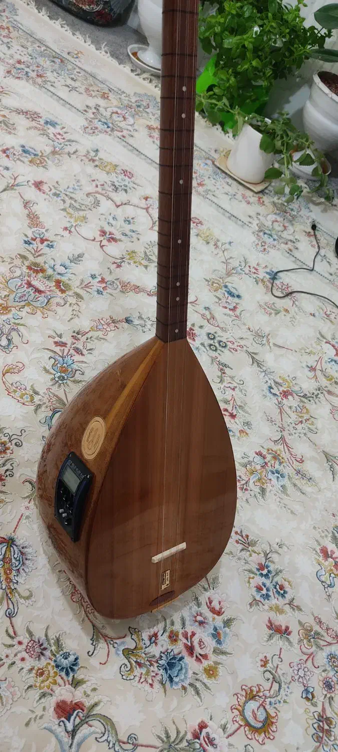 باغلاما (دیوان ) حرفه ای با متعلقات|سازهای سنتی|آباده, |دیوار