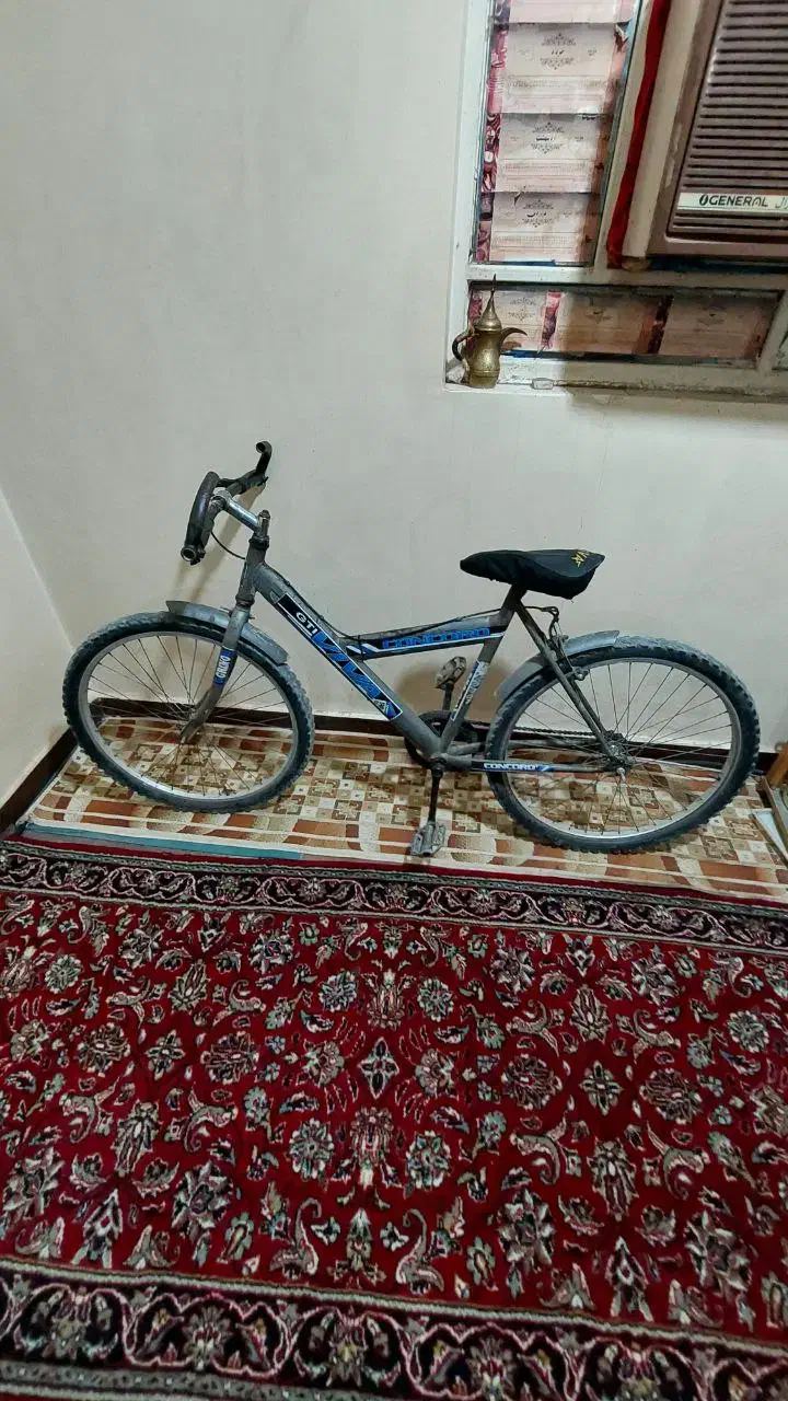 دوچرخه کوهستان|دوچرخه، اسکیت، اسکوتر|باوی, |دیوار