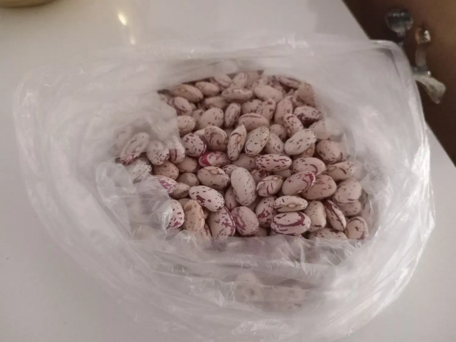 فروش لوبیا چیتی و دولتی|عمدهفروشی|سراب, |دیوار