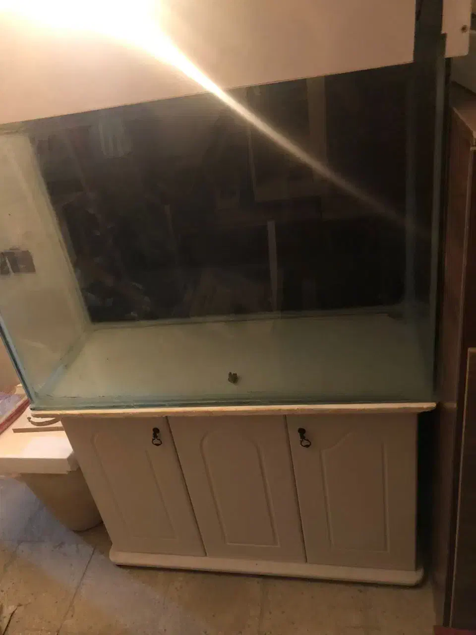 آکواریوم|ماهی|اصفهان, جلفا|دیوار