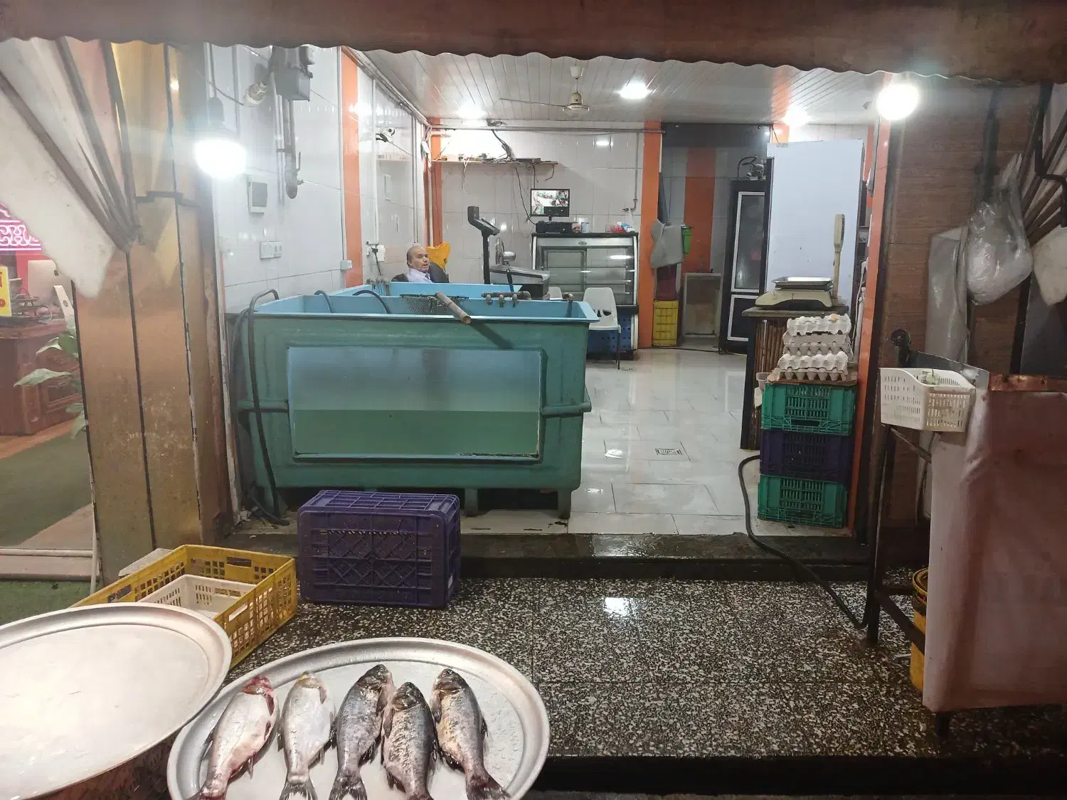 کارگر برای فروشگاه مرغ و ماهی|استخدام خدمات فروشگاه و رستوران|رشت, خمیران زاهدان|دیوار