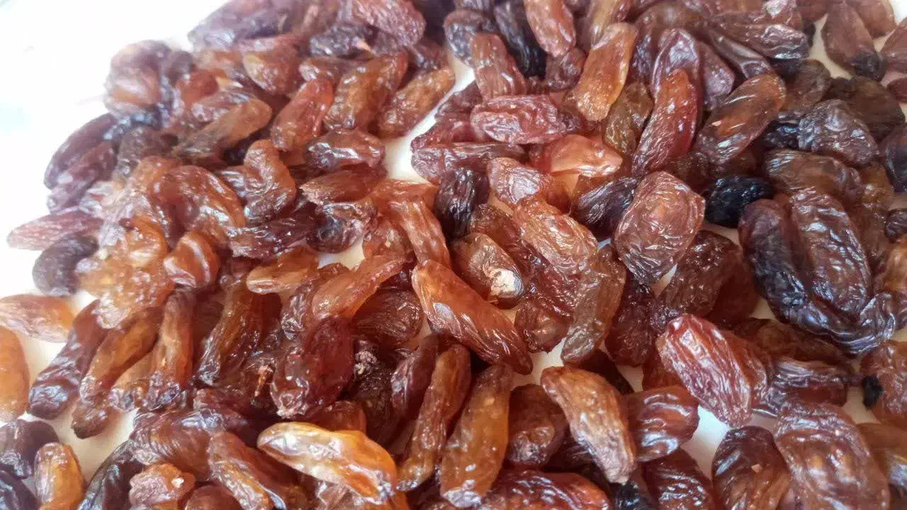 کشمش،آبغوره،کله پاچه،شیره انگور|خوردنی و آشامیدنی|مشهد, مشکینی (شهرک غرب)|دیوار