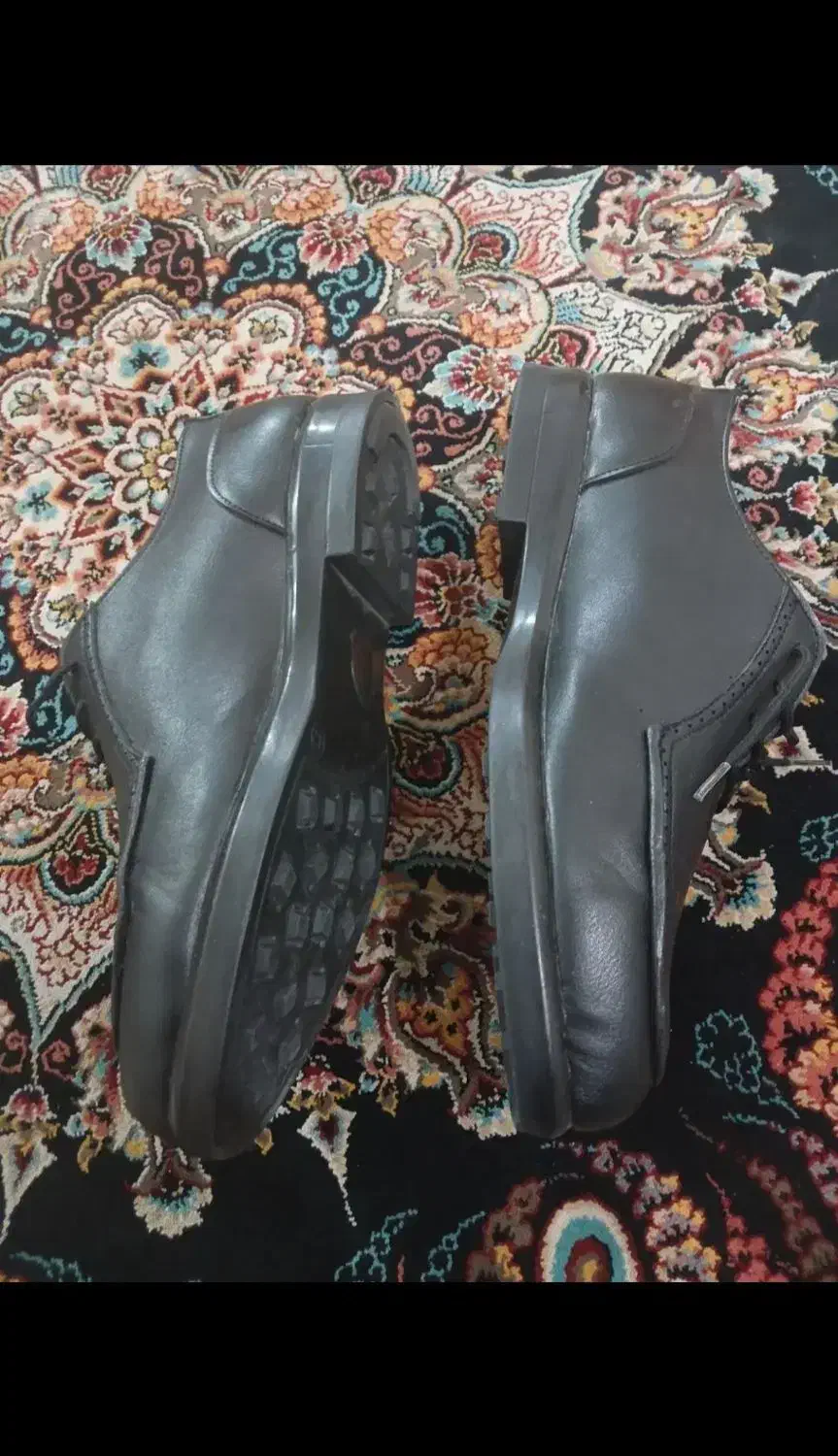 کفش|کیف، کفش، کمربند|هرسین, |دیوار