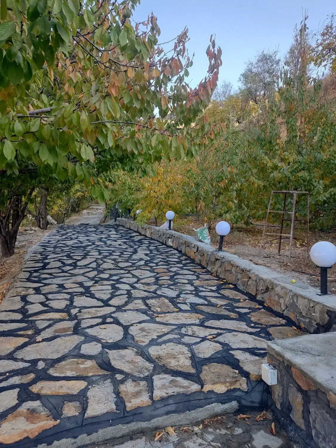 بنا ، بنایی ، سنگ فرش ، دیوارچینی|خدمات پیشه و مهارت|سنندج, |دیوار