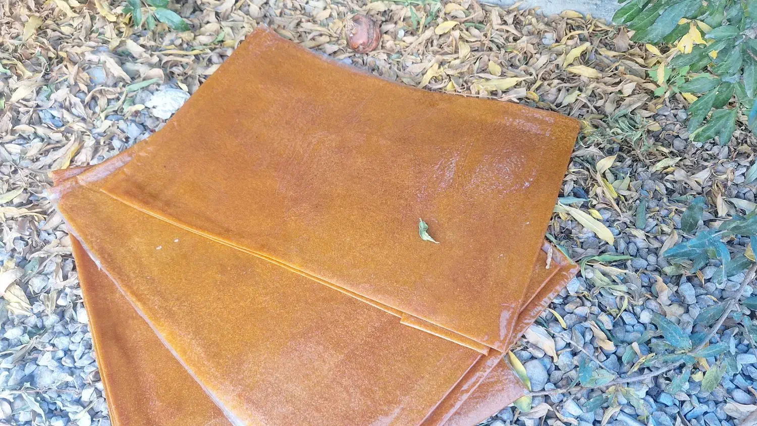 لواشک زردآلو خانگی|خوردنی و آشامیدنی|داراب, |دیوار