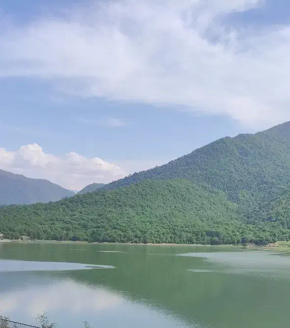 زمین واقع در شهرک صنعتی گذر12متری سمت پایین دانشگا|فروش زمین و ملک کلنگی|اسفراین, |دیوار