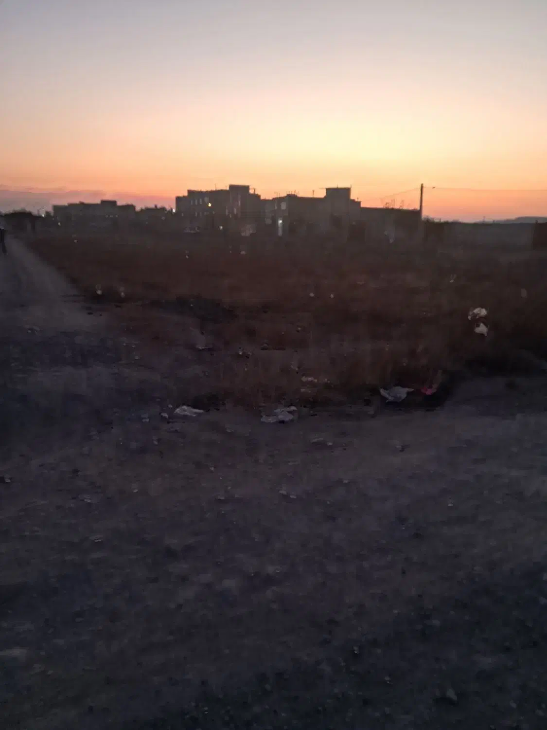 زمین زراعی مرکز شهر|فروش زمین و ملک کلنگی|محمدشهر, یزدیها|دیوار