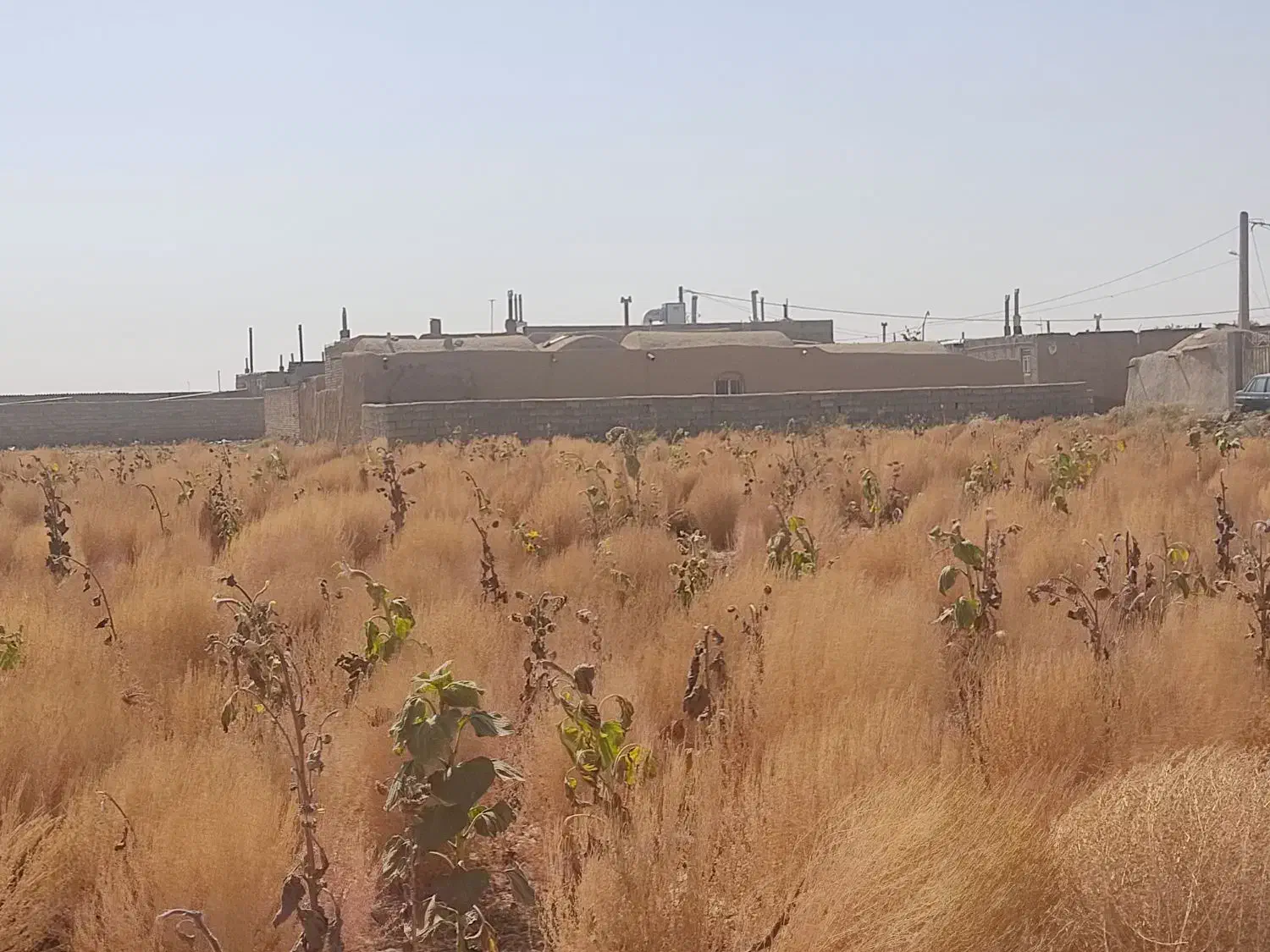 ج.ا.ر.و امسالی و محلی درجه یک|لوازم نظافت|نیشابور, بنیاد شهید|دیوار