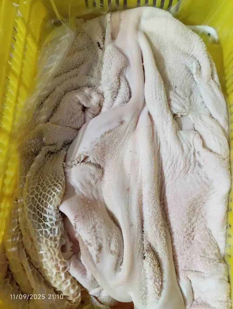 پخش الایش دامی|خوردنی و آشامیدنی|جلفا, |دیوار