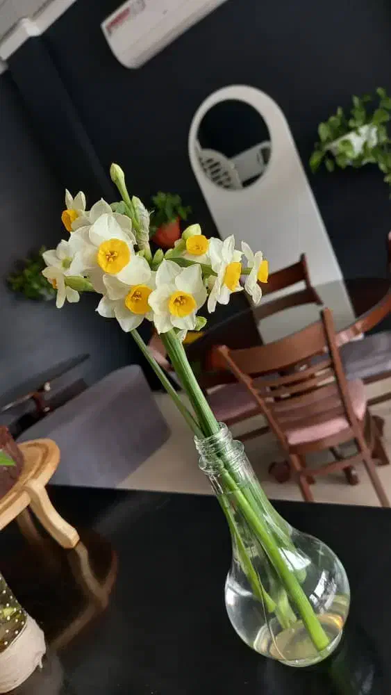 واگذاری تجهیزات کافی شاپ|کافیشاپ و رستوران|کرمان, |دیوار