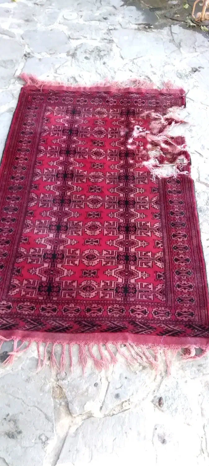 فرش دستباف|فرش|مشهد, دوست آباد|دیوار