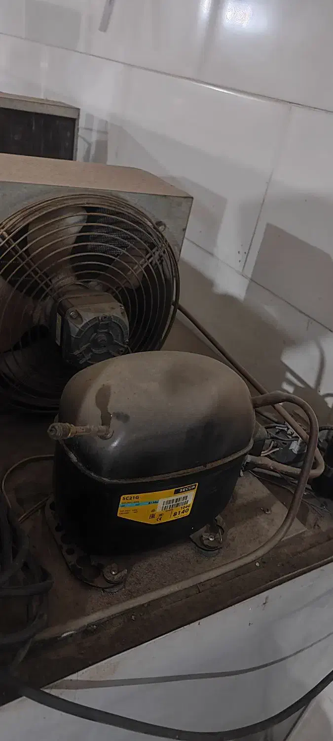 یخچال فریزر صنعتی در حد نو|فروشگاه و مغازه|گلبهار, شهر جدید گلبهار|دیوار