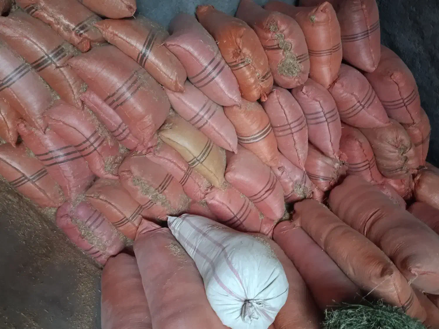 کاه گندم|لوازم جانبی حیوانات|سیوان, |دیوار