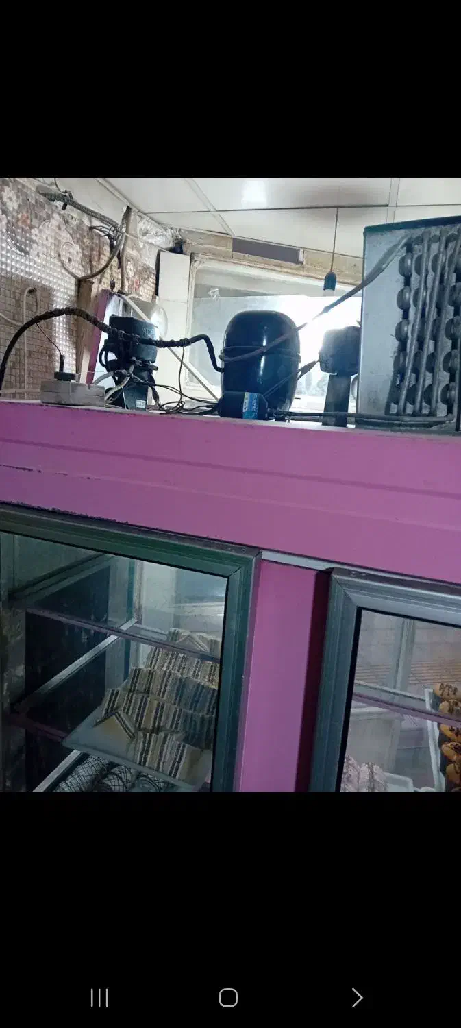 یخچال ویترینی ایستاده|یخچال و فریزر|سامن, |دیوار