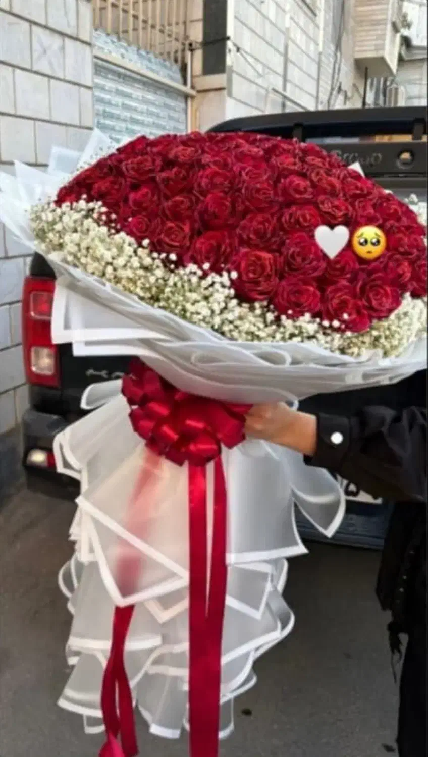 گل اکلیل دار|گل مصنوعی|تبریز, |دیوار