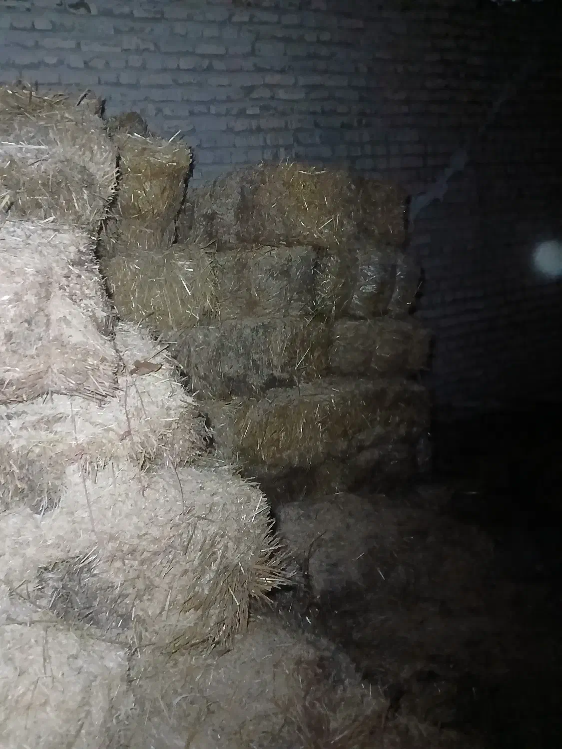 پرس گندم|عمدهفروشی|بروجرد, |دیوار