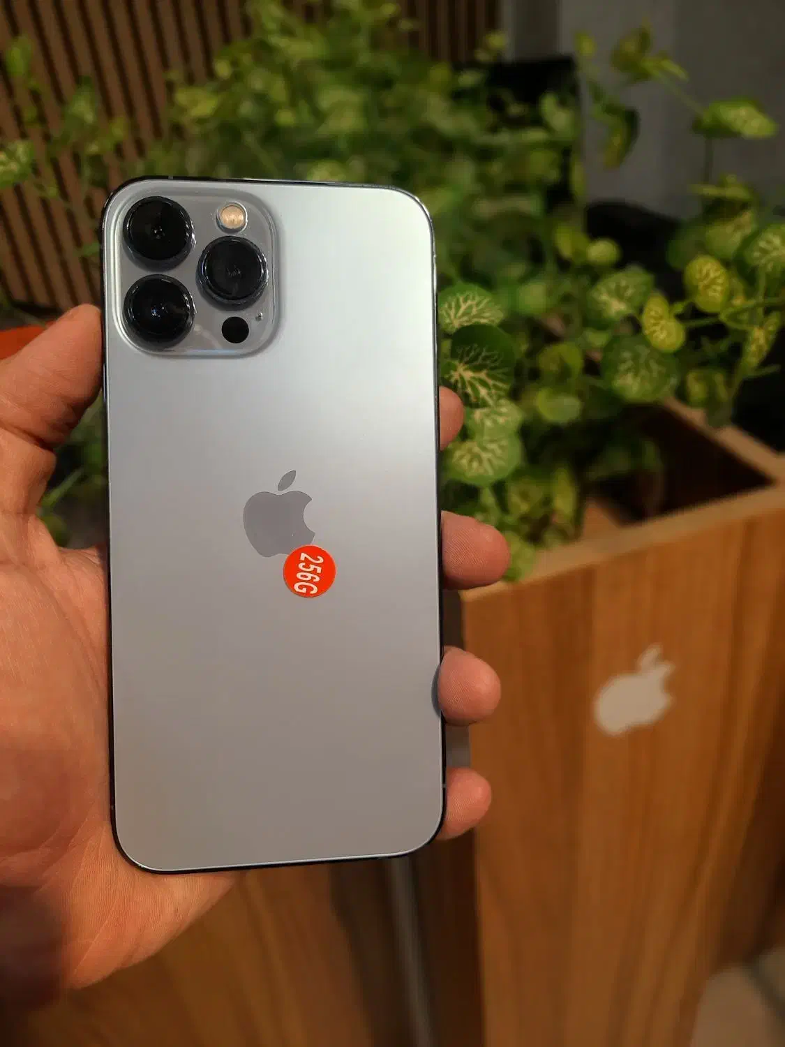 آیفون ۱۳ پرومکس ۲۵۶ lla|موبایل|آستارا, |دیوار