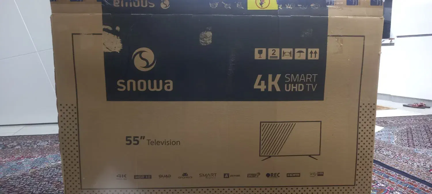 کارتون|تلویزیون و پروژکتور|سنندج, |دیوار