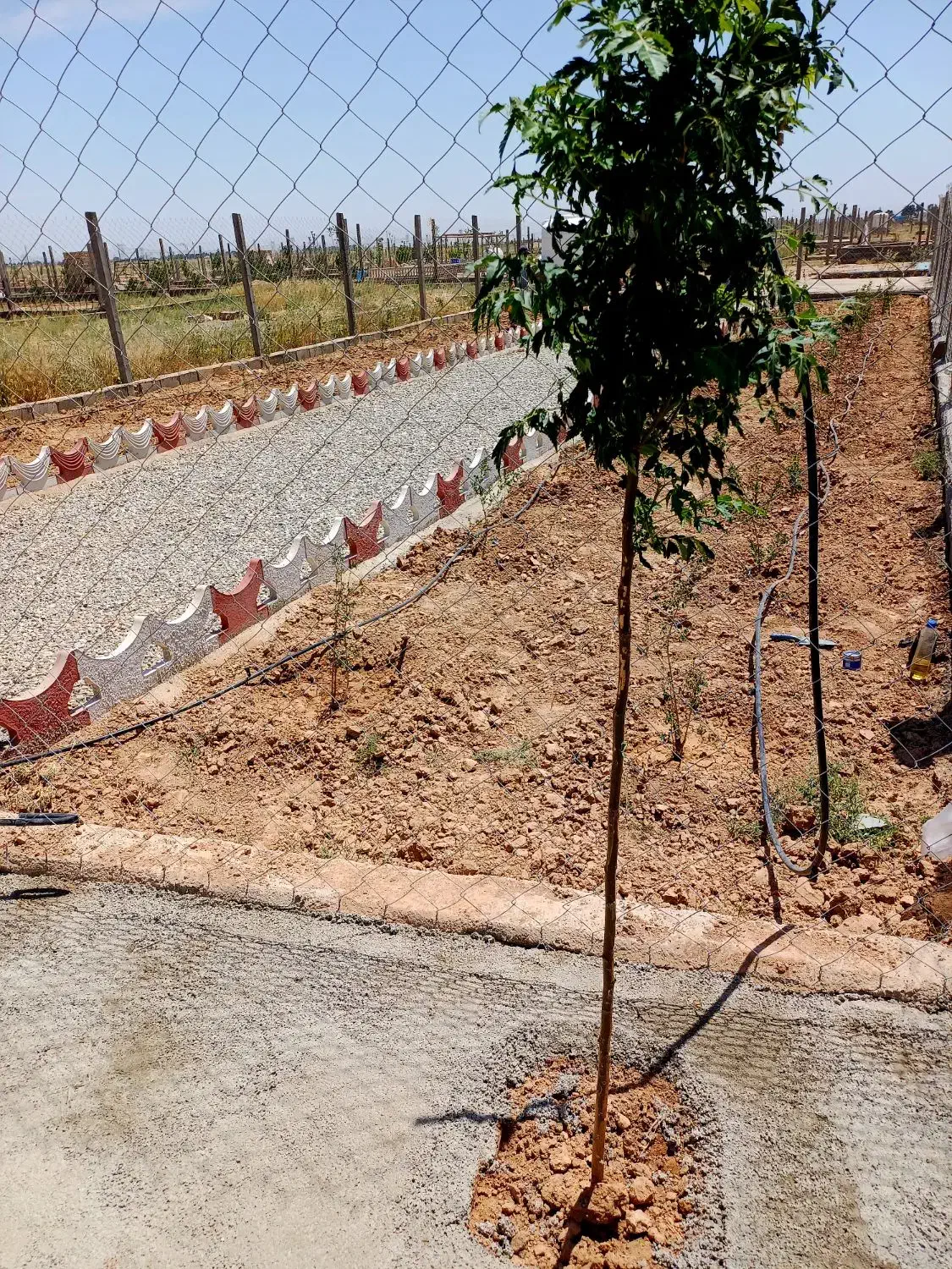 باغچه ۲۵۰ متری در ایجدان|فروش زمین و ملک کلنگی|جوادآباد, |دیوار