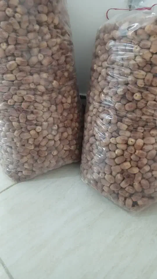 قصب درجه ۱ نیاز به تعریف نداره قیمت توافقی|خوردنی و آشامیدنی|شیراز, میرزاکوچک خان|دیوار