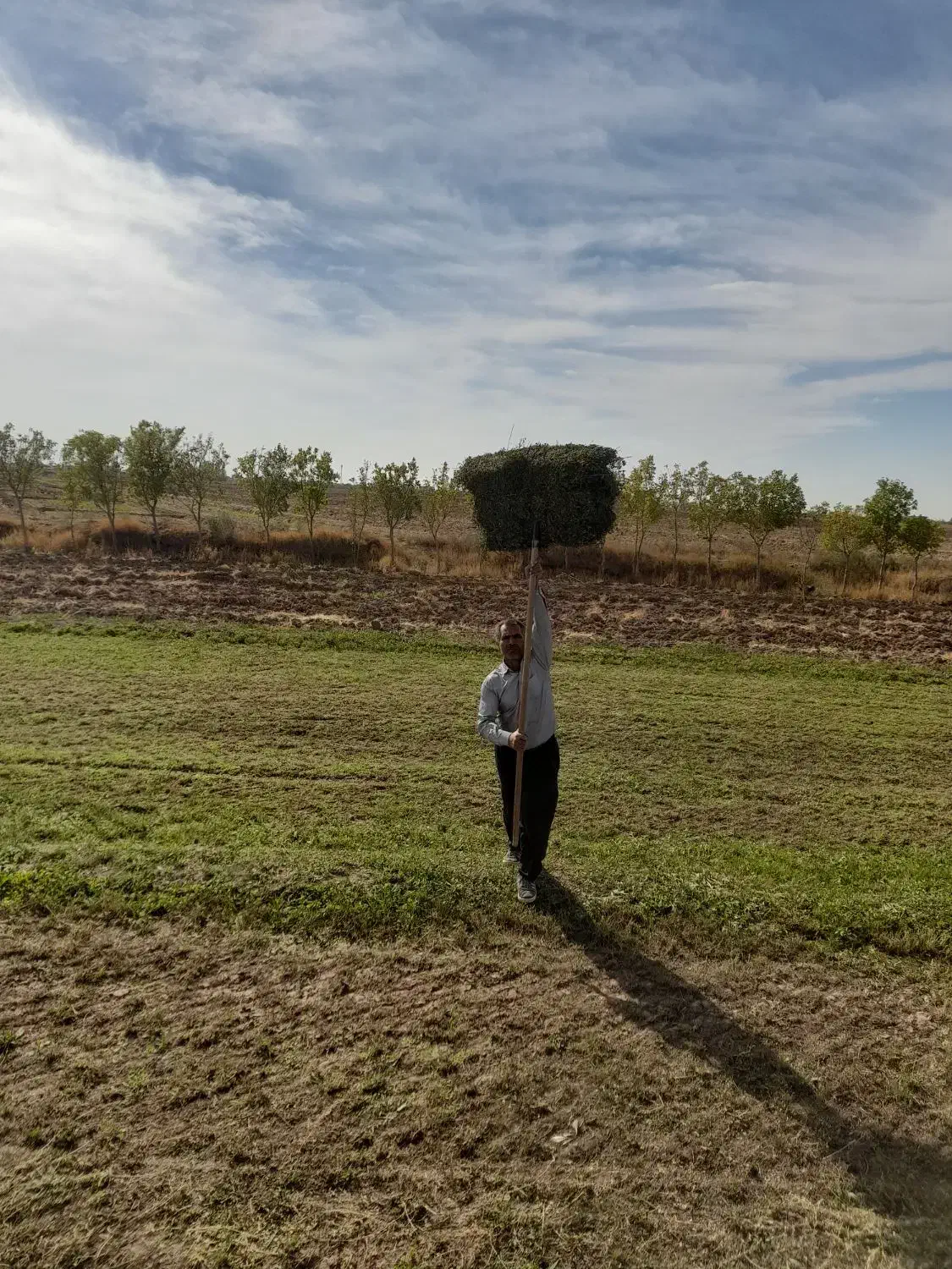 فروش یونجه جزئی و عمده|عمدهفروشی|دشتابی, |دیوار