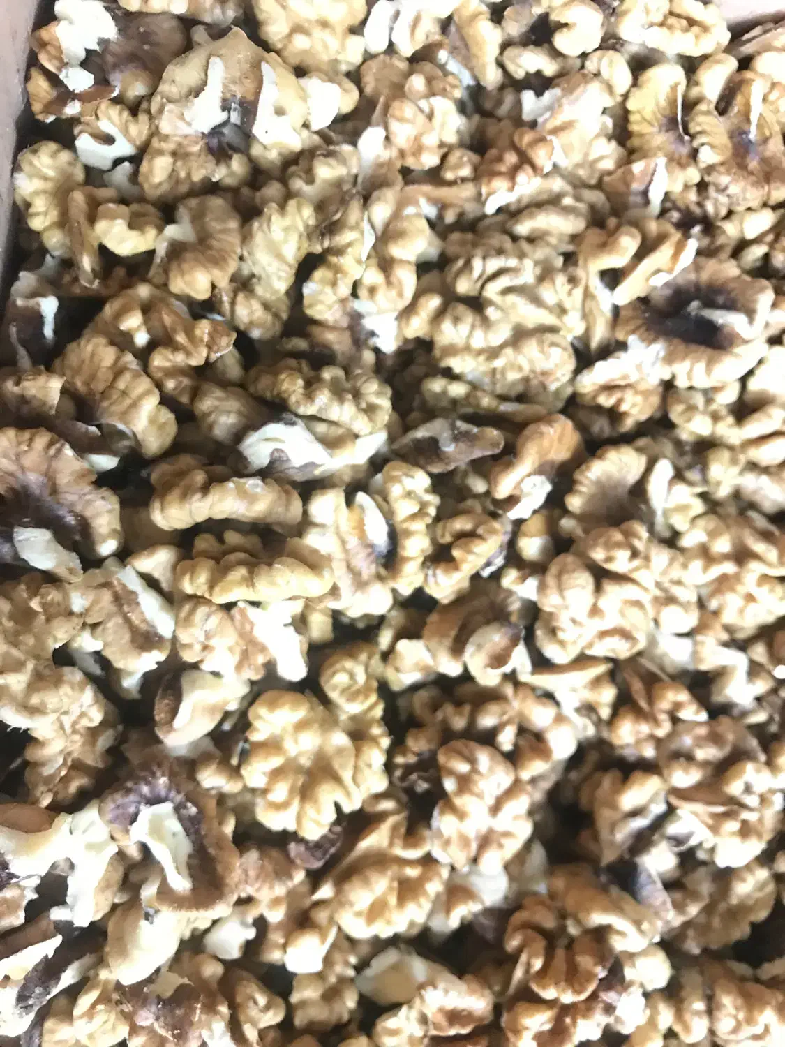 مغز بادام|خوردنی و آشامیدنی|کاشان, کارگر|دیوار