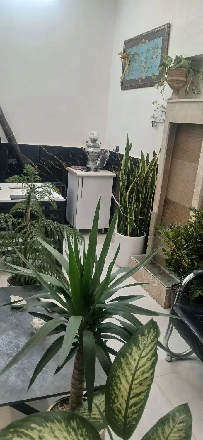 املاک سعید|مشارکت در ساخت املاک|مشهد, خلق آباد سفلی|دیوار