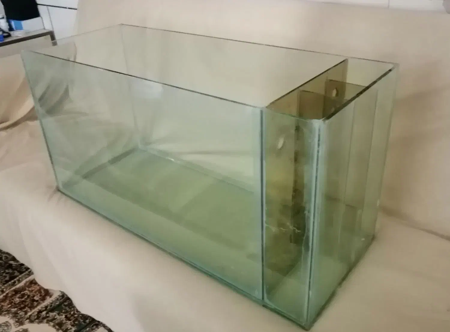 آکواریوم|ماهی|فردوس (خراسان), |دیوار