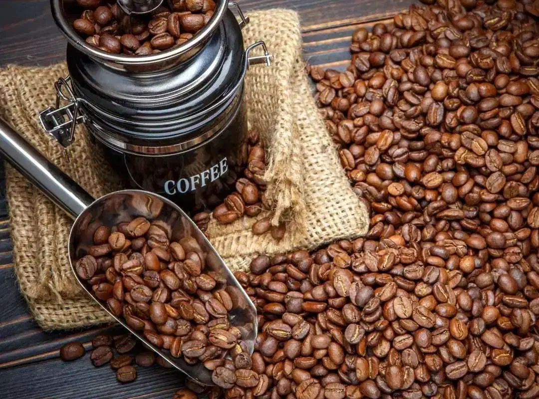 فروش دان قهوه ۳۰ عربیکا ۷۰ روبستا|خوردنی و آشامیدنی|پیرانشهر, |دیوار