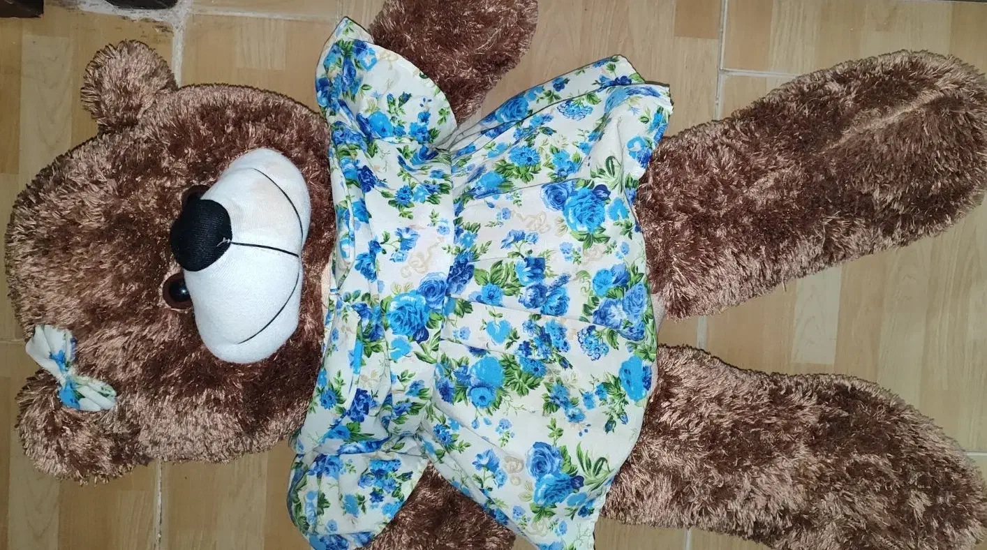 عروسک خرس|اسباب‌‌بازی|آستانه اشرفیه, |دیوار