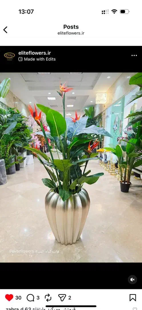 پرنده بهشتی|گل مصنوعی|ری, ملکآباد|دیوار