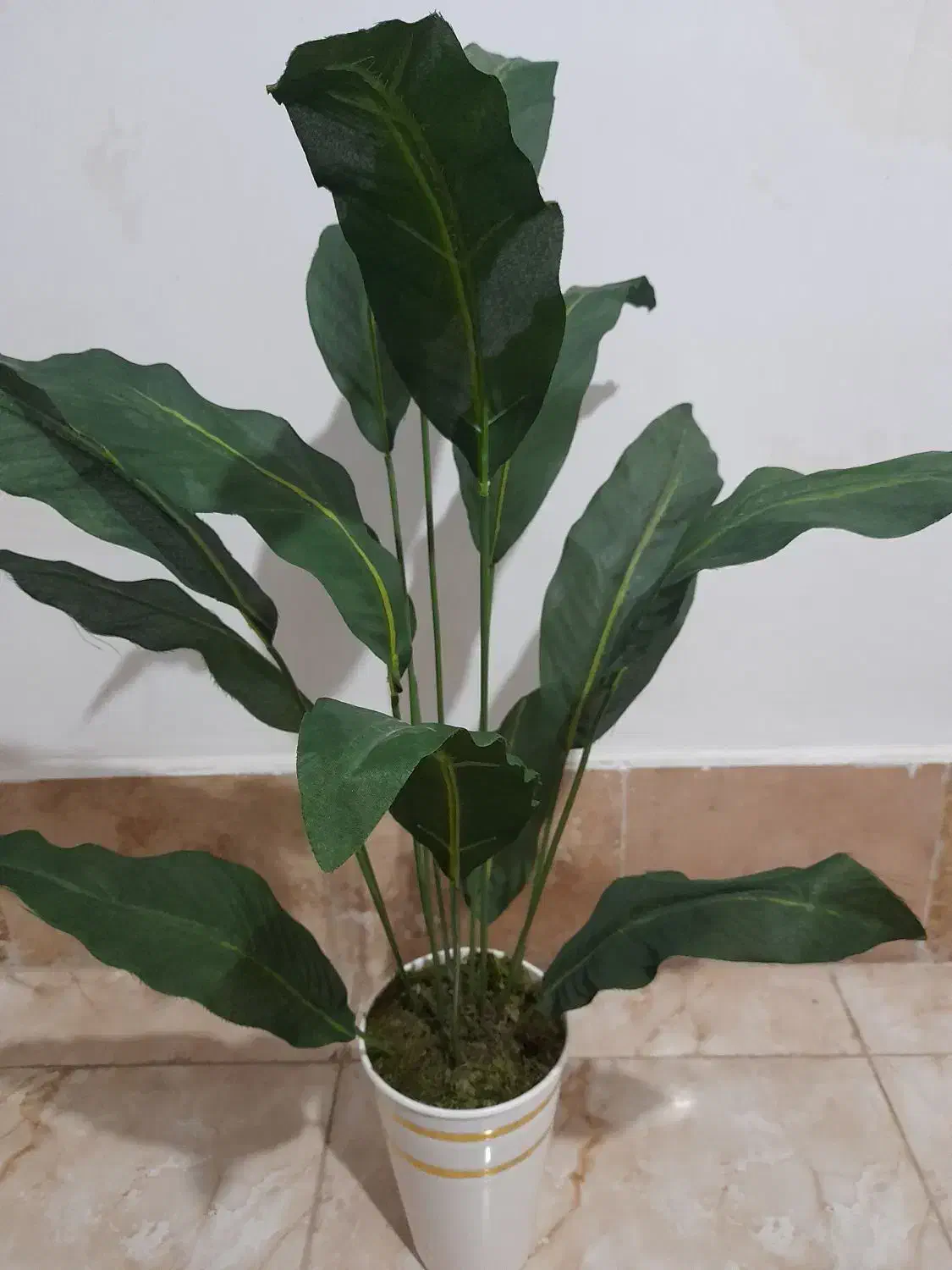 گلدان بزرگ مصنوعی|گل مصنوعی|نسیم‌شهر, |دیوار