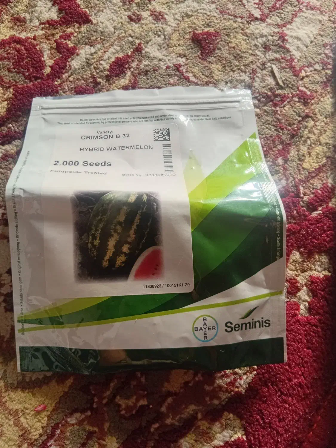 برز هندوانه وشمام|گل و گیاه طبیعی|شیراز, کرونی(خاتونک)|دیوار