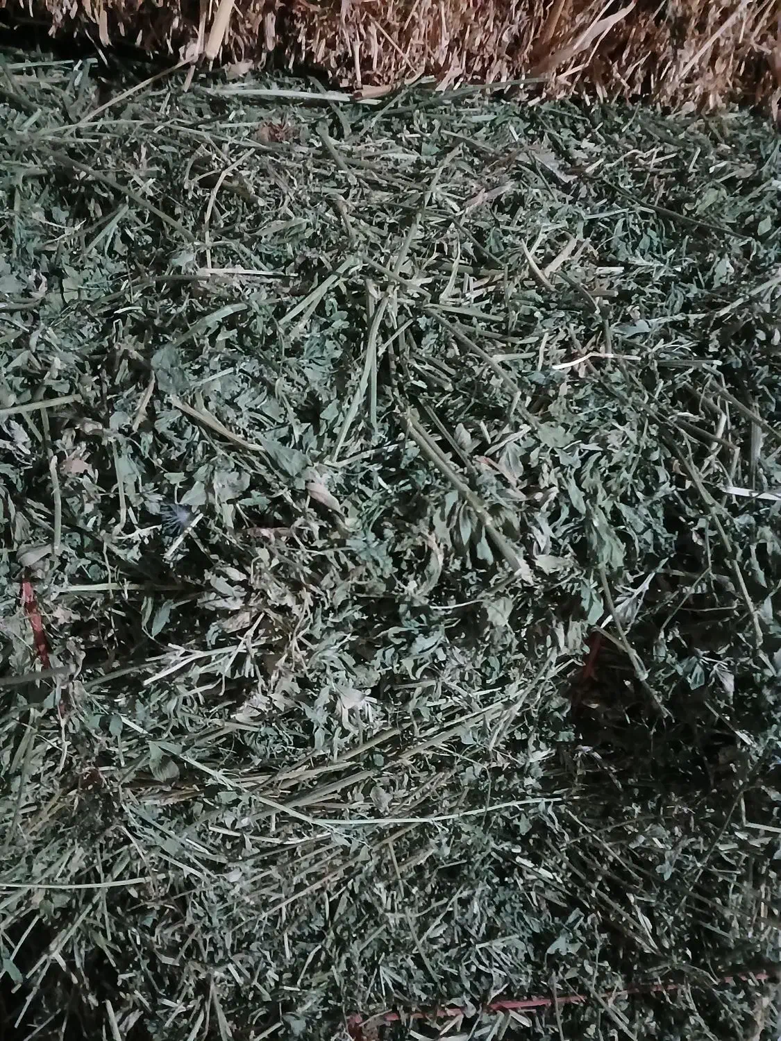 کاه و یونجه|لوازم جانبی حیوانات|دشتابی, |دیوار