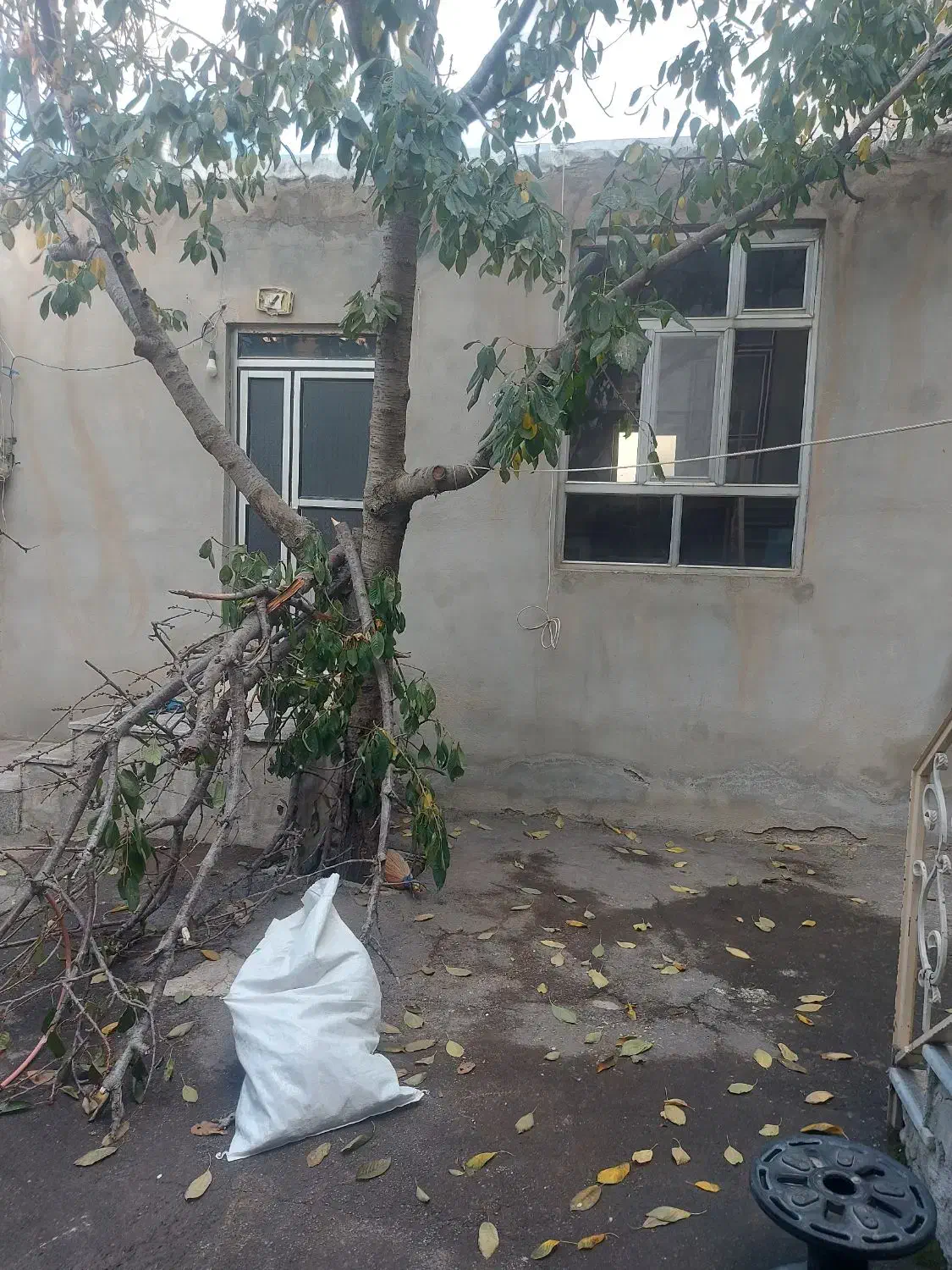 بالا تر از شهرک خاوران روستای زرنق|اجارهٔ خانه و ویلا|باسمنج, |دیوار